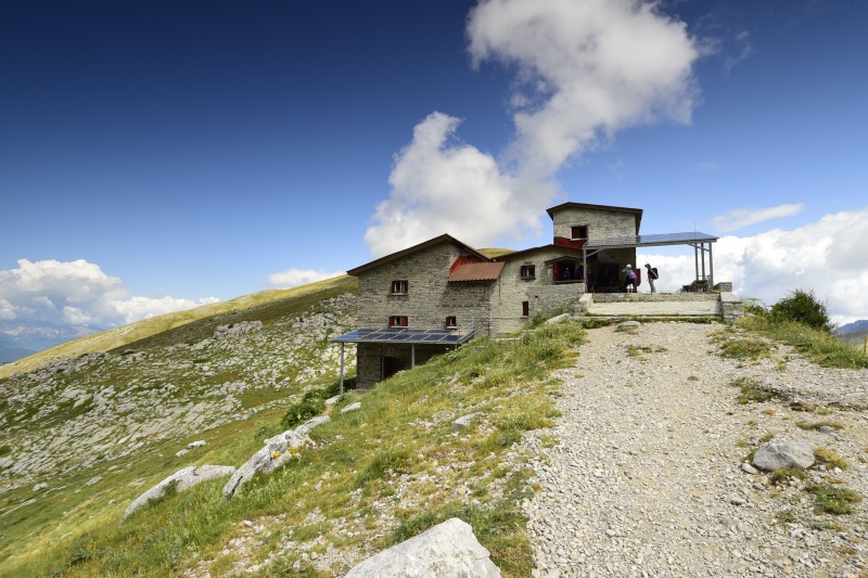marmoreum ssp. marmoreum from Astraka, Hütte