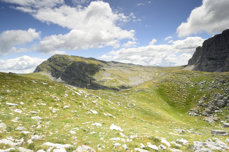 marmoreum ssp. reginae-amaliae from Koutsomitros, 1