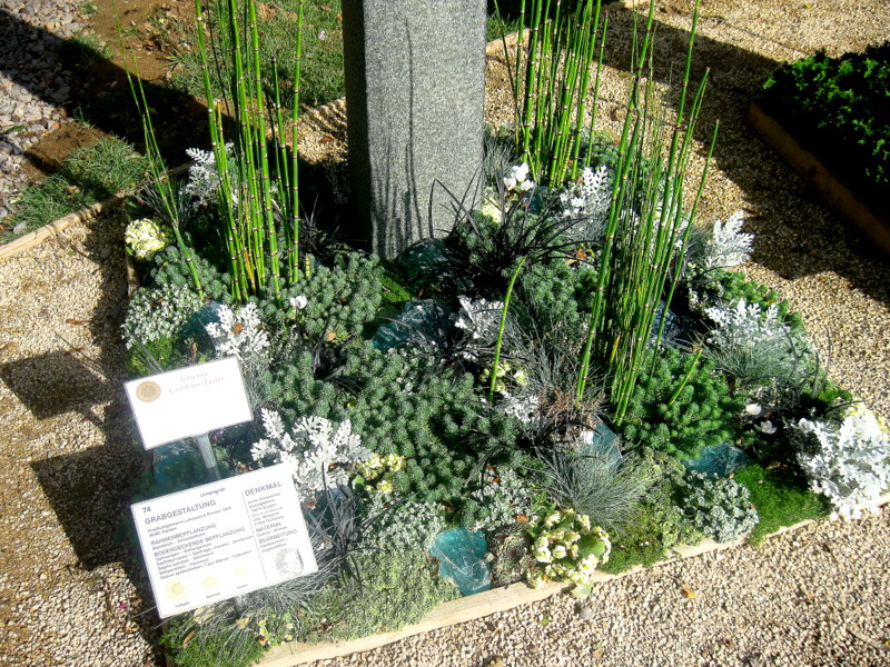 Grabbepflanzung