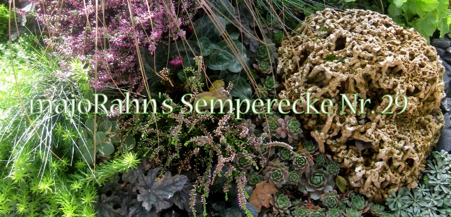 Semperecke Nr. 29