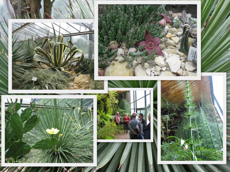 Botanischer Garten