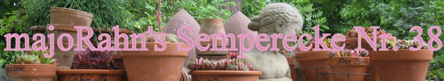Semperecke Nr. 38-2