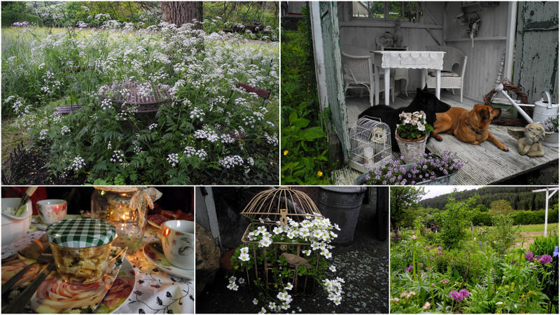 Garten