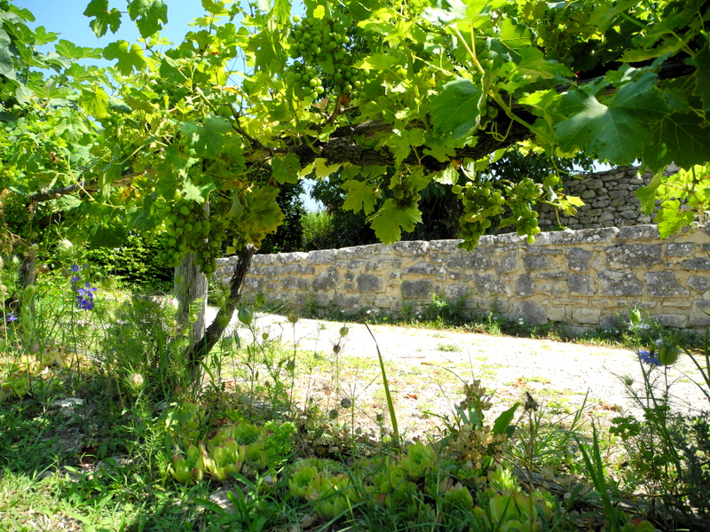 Klostergarten