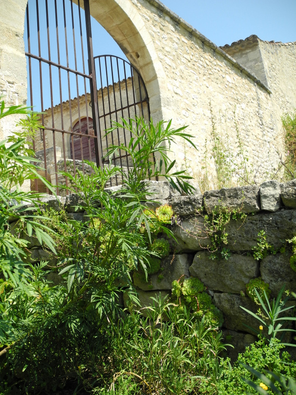 Klostergarten