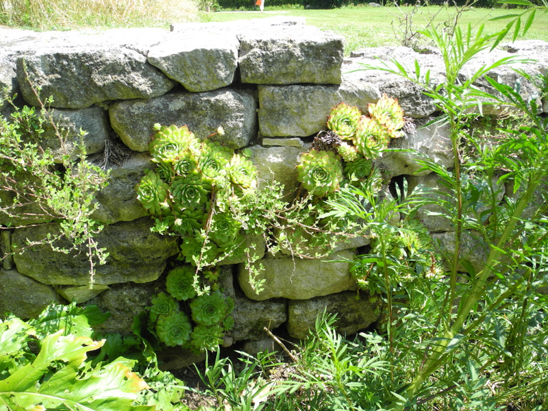 Klostergarten