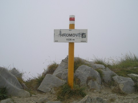 Wegweiser