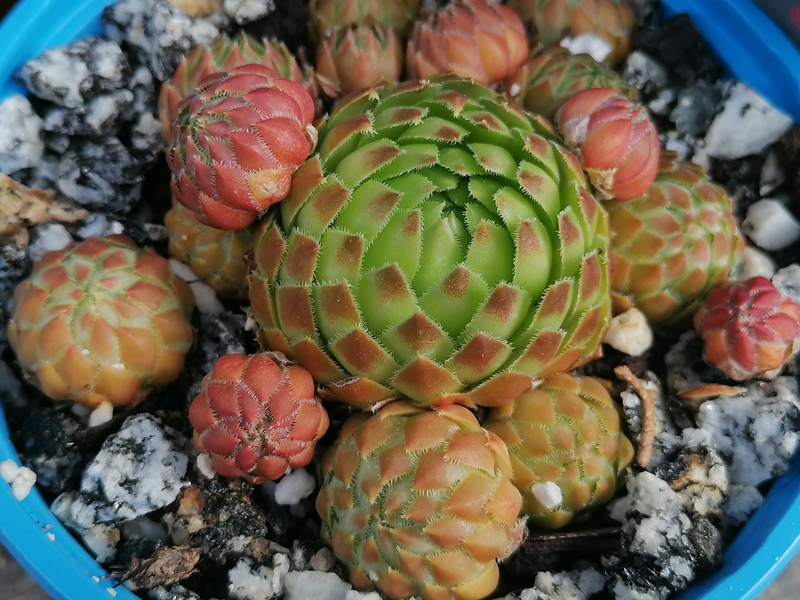 PE 19/343