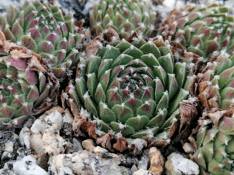 PE 21/056