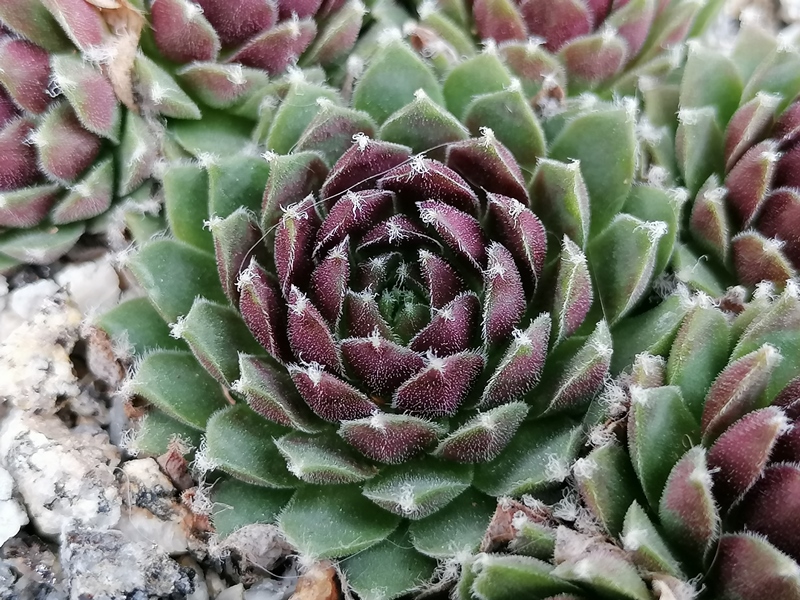 PE 21/056