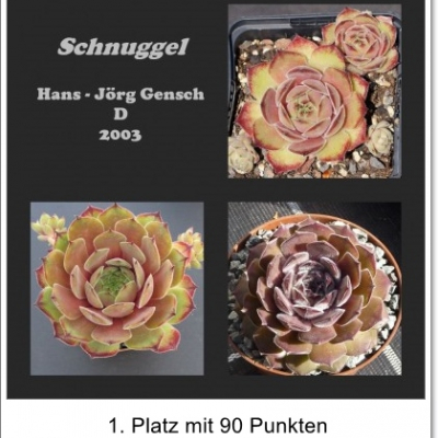Schnuggel