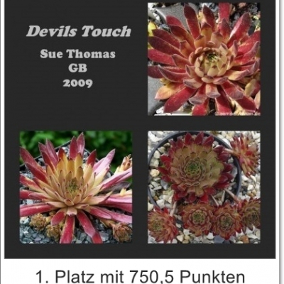 Devils Touch