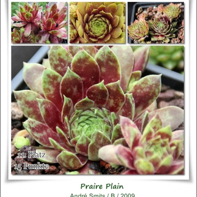 Praire Plain