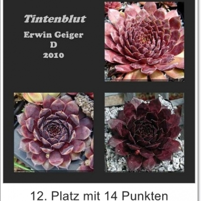 Tintenblut