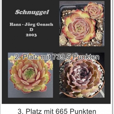 Schnuggel