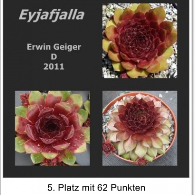 Eyjafjalla