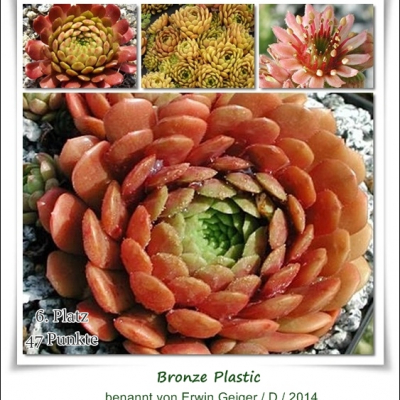 Bronze Plastic