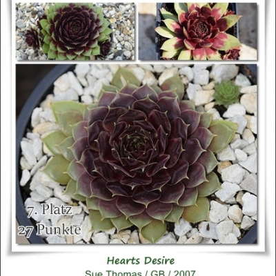Hearts Desire