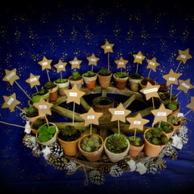 Adventskalender