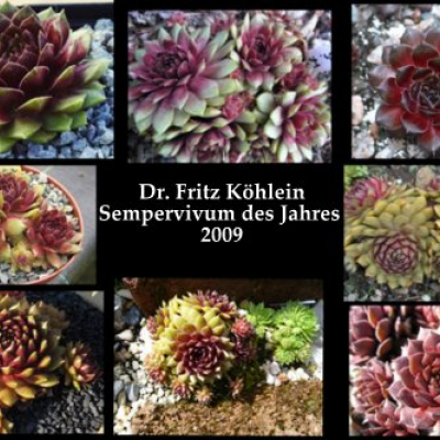 Dr. Fritz Köhlein 1