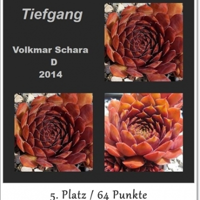Tiefgang