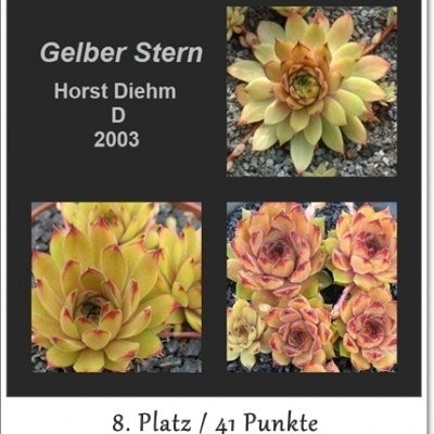 Gelber Stern