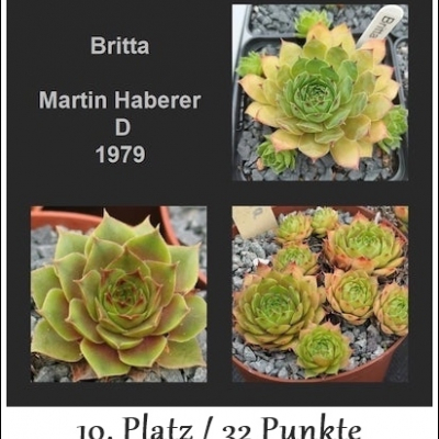 Britta