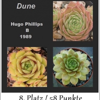 Dune