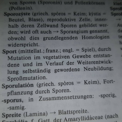 Sport