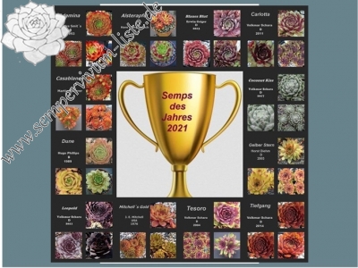 Pokal 2021