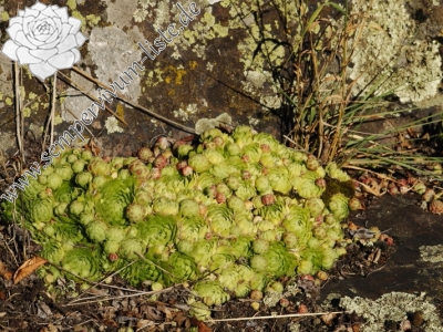 Reisebericht: Statíková skála