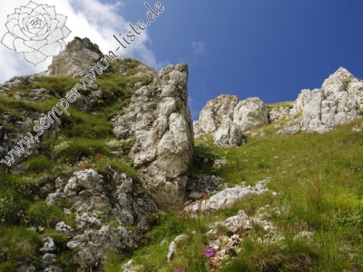 Reisebericht: Bijak Dorok, O Abhang