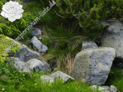 Reisebericht: Velické pleso