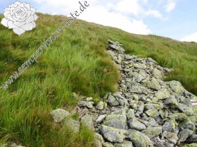 Reisebericht: Bystré sedlo