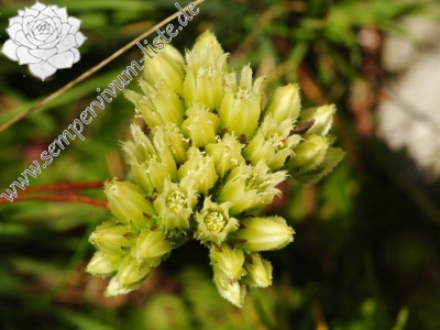 Reisebericht: Malý Rozsutec