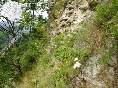 Reisebericht: Starý hrad 2