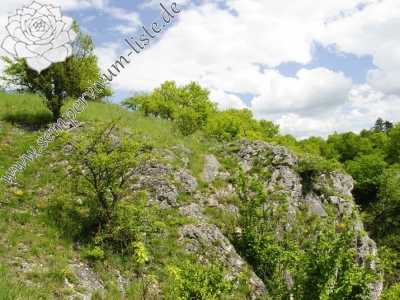 Reisebericht: Srbsko, oberhalb