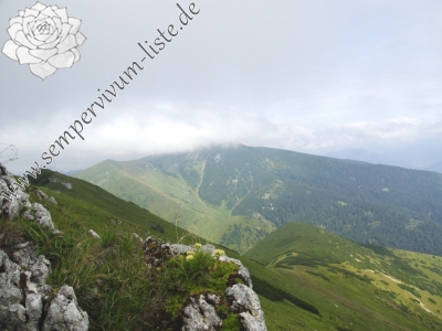 Reisebericht: Malý Fatranský Kriváň