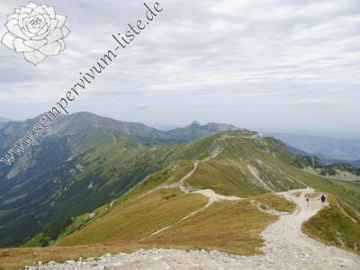 Reisebericht: Svinické sedlo