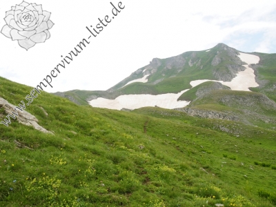 Reisebericht: Nistrovski Korab