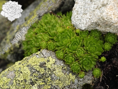 Reisebericht: Huncovská dolina, W