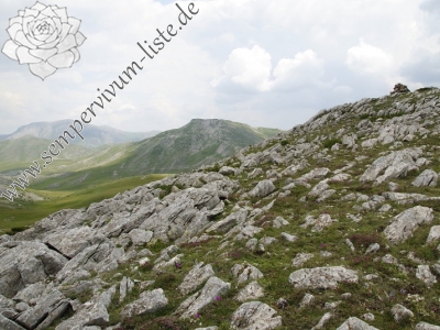 Reisebericht: Smrdlivi virovi, SO