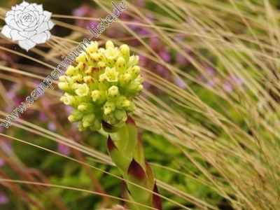 Reisebericht: Veliki krš 2