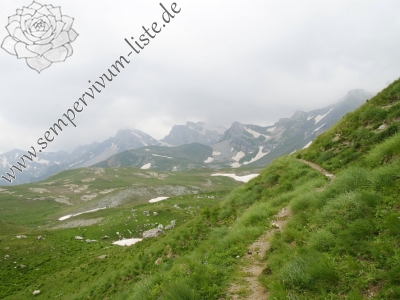 Reisebericht: Kobilino pole, O 2