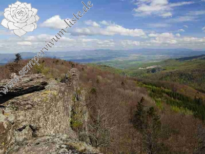 Reisebericht: Buchlov