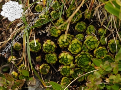 Reisebericht: Wielka Buczynowa, Abhang