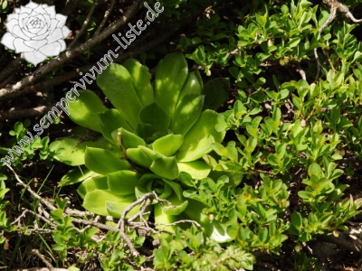 Reisebericht: Bashliyska Porta