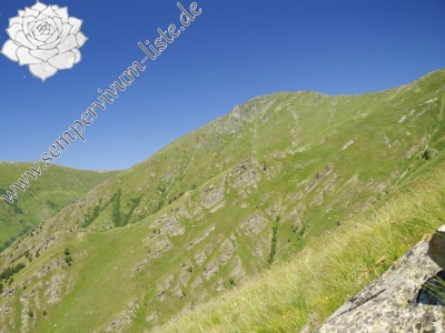 Reisebericht: Dalgia Rid, Mitte