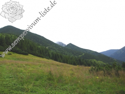 Reisebericht: Ostrá, SO Abhang