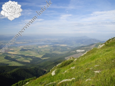 Reisebericht: Ráztoka, W Abhang